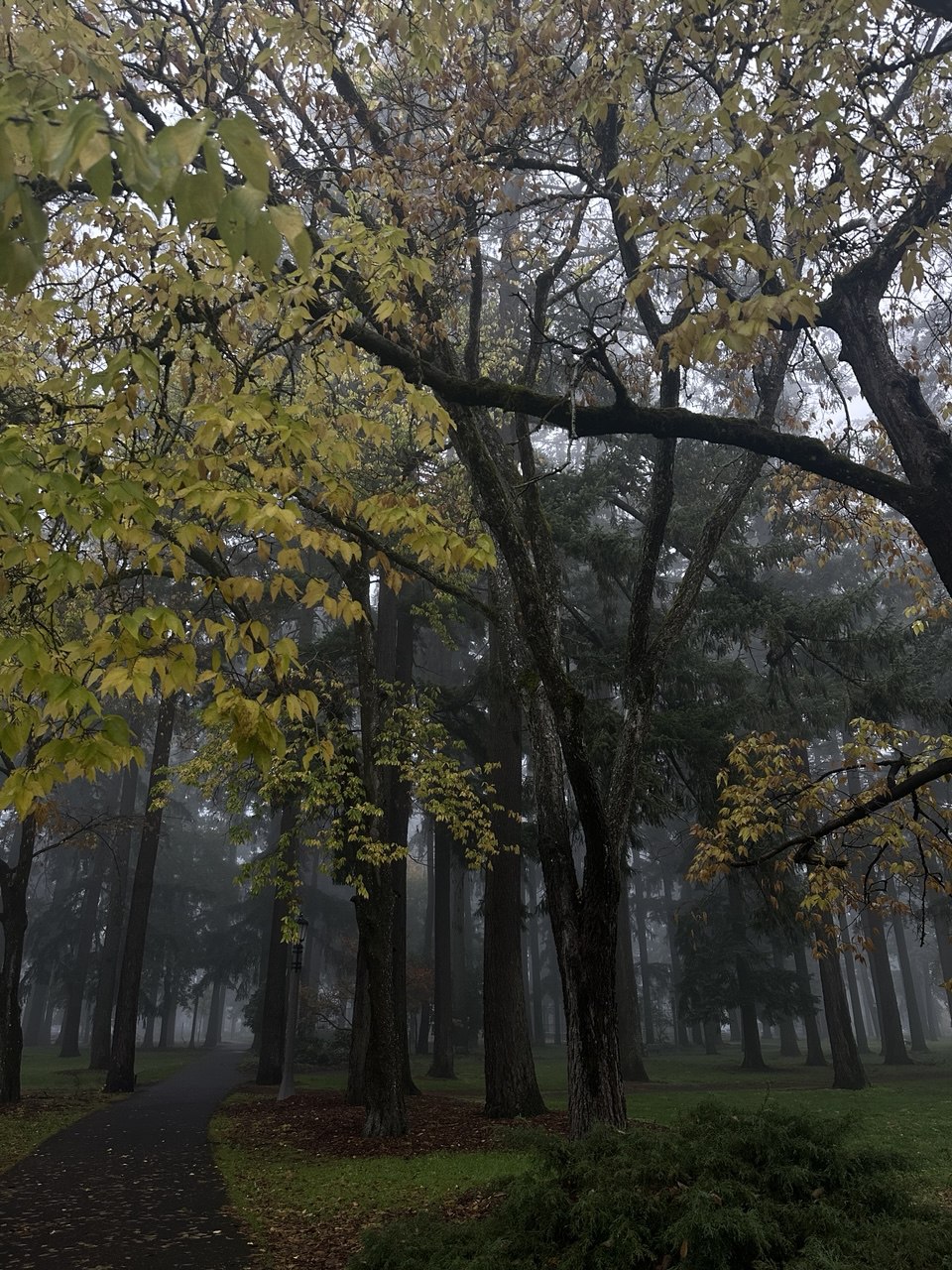 Nature at Your Doorstep